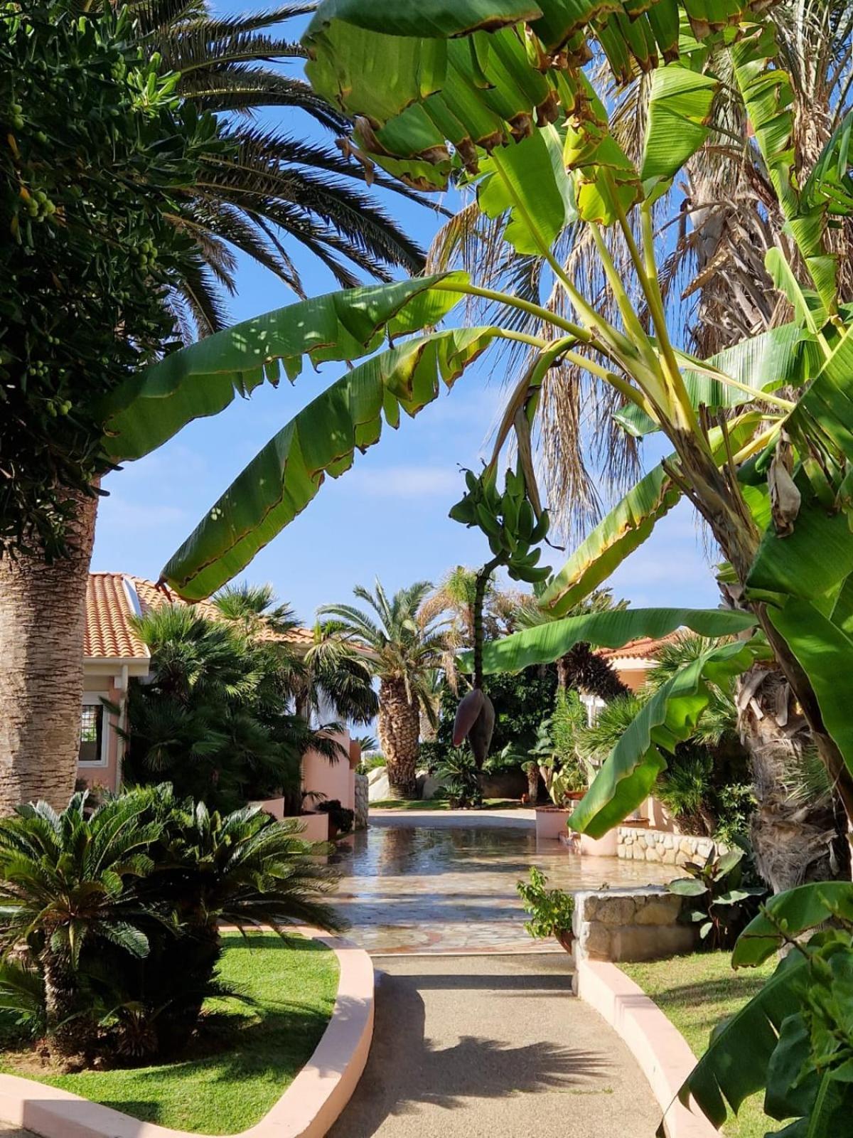 Hotel Villaggio Cala Di Volpe Capo Vaticano Exteriér fotografie